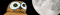 The owls are not what they seem